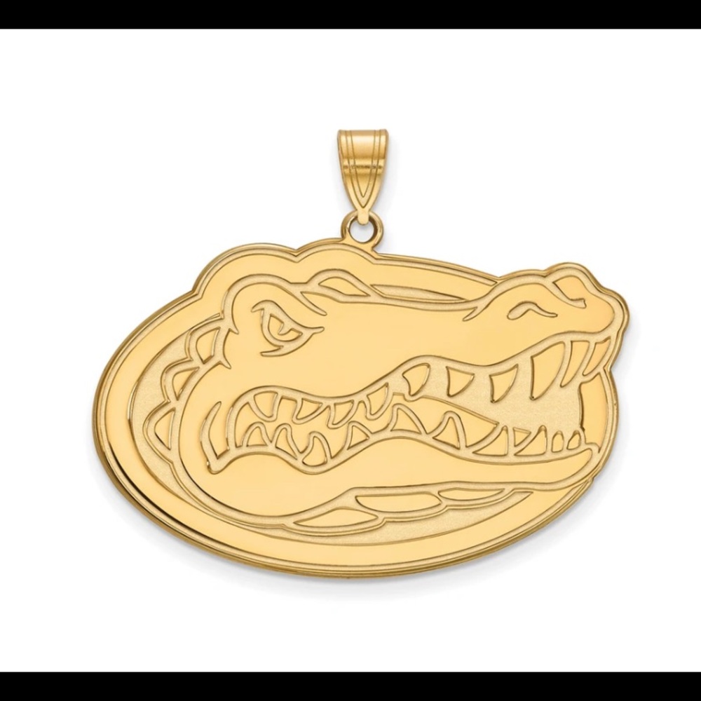 🔶🔹14k gold plated Silver U of Florida XL pendant